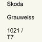 Preview: Skoda, Grauweiss, 1021 / T7.